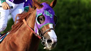 California Chrome